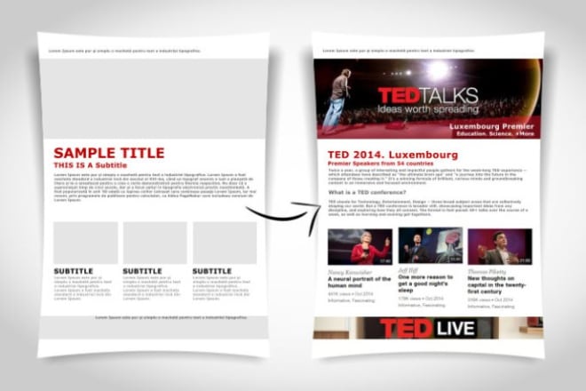 I will create a professional newsletter or an ocassion ecard