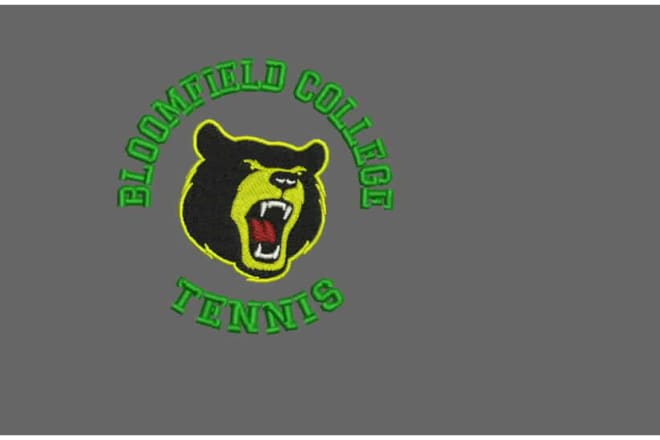 I will do best embroidery design for t shirts