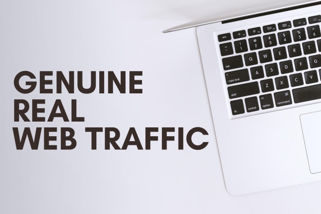 I will drive website targeted web traffic