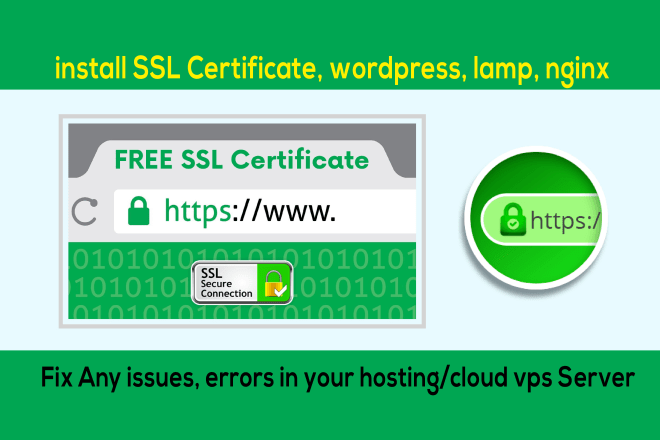I will install ssl, wordpress, lamp, nginx in your hosting or vps