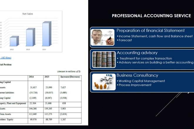 I will prepare financial statement for business plan