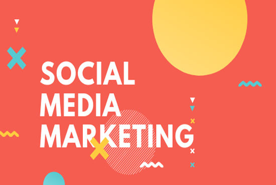 I will provide a social media marketing plan and management