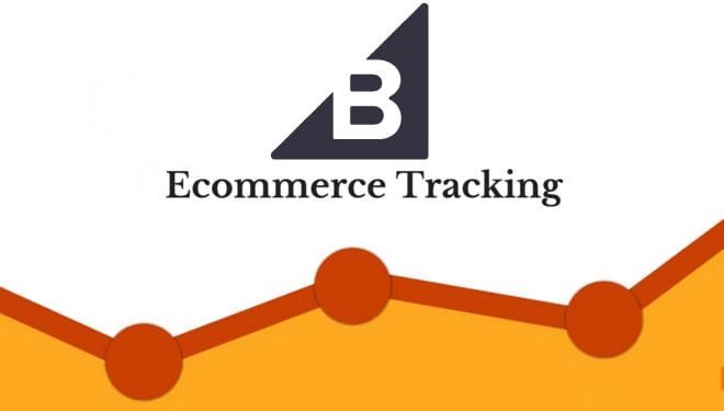 I will setup google analytics for bigcommerce