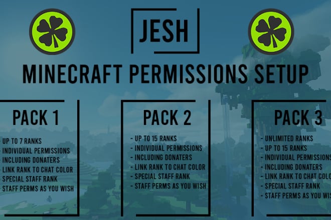 I will setup minecraft server permissions and ranks