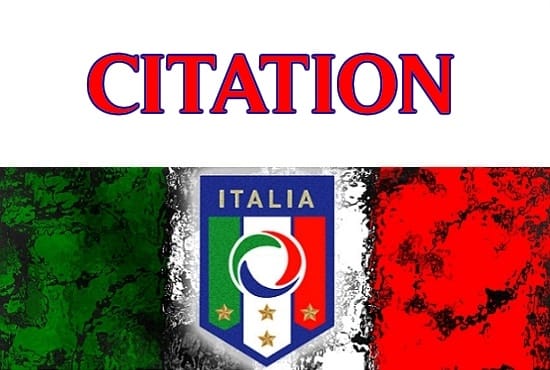I will build 55 italian local citation using premium list