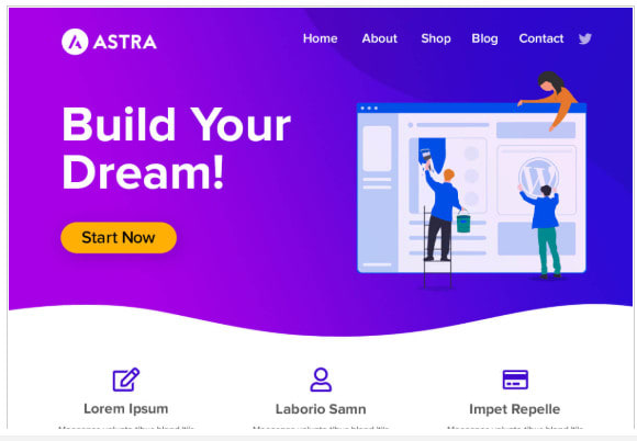 I will create your wordpress website using astra and elementor pro
