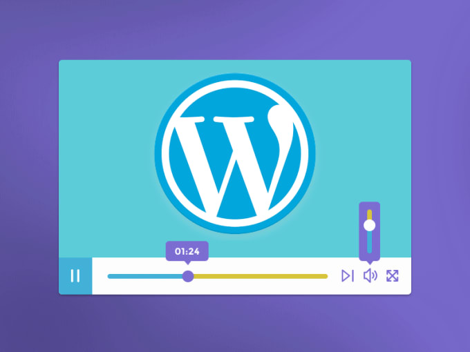 I will custom skin wordpress audio video player