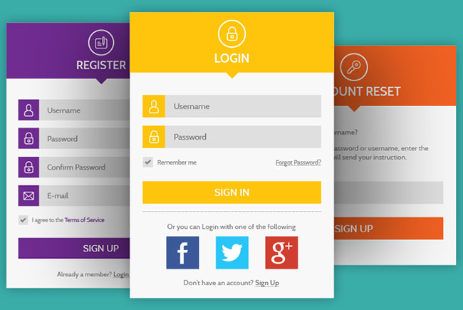 I will customization any kind of wordpress form