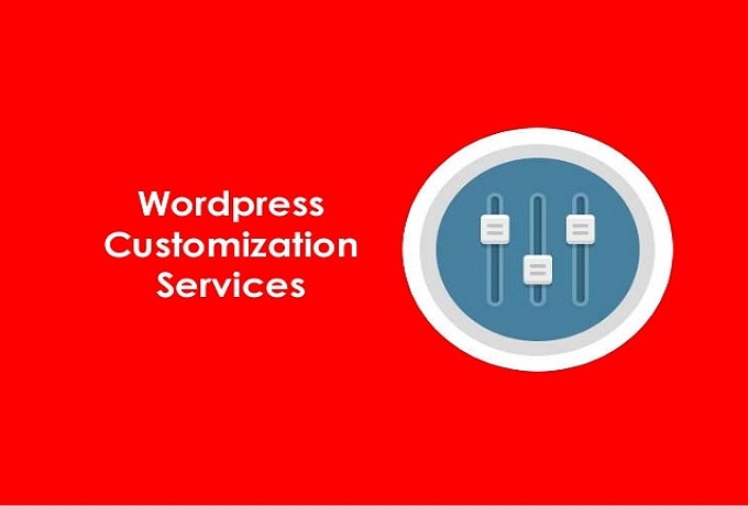 I will customization any wordpress theme