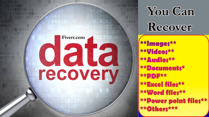I will provide Premium Data Recovery Software within 10 hours