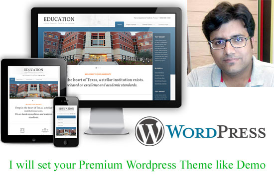 I will set your wordpress theme same like demo