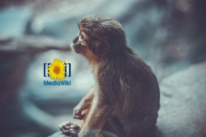 I will setup mediawiki for you