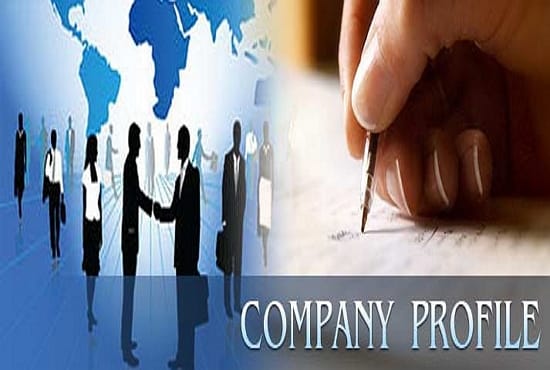 I will write a professional company profile