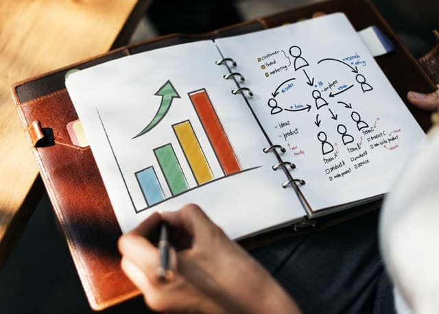 I will write you a unique and effective business plans