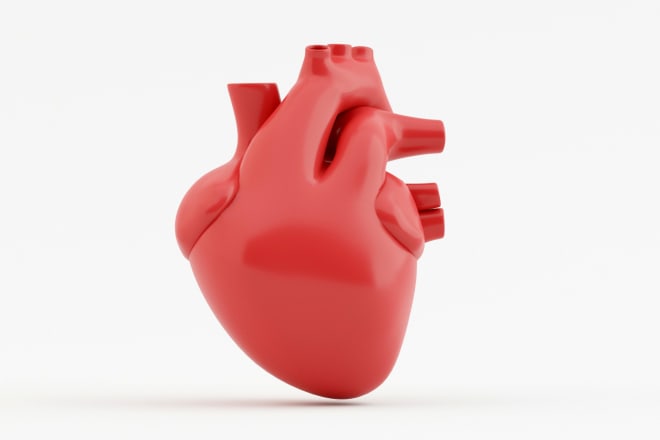 I will 3d model and renders of anatomy or medical related objects