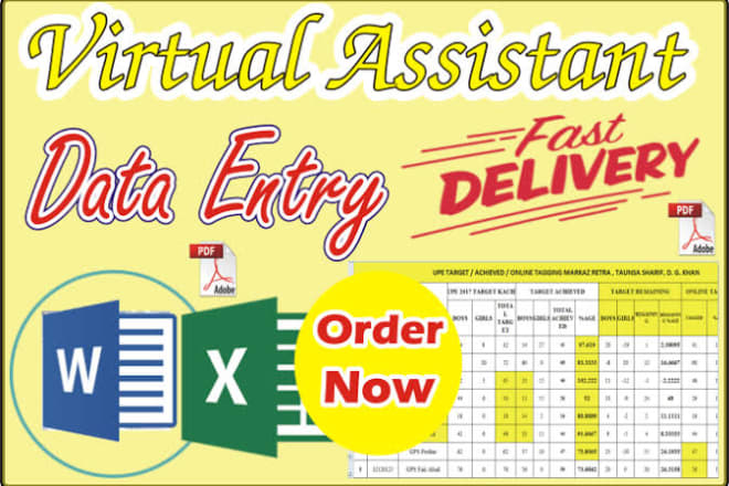 I will be your fastest virtual assistant for excel data entry and pdf work