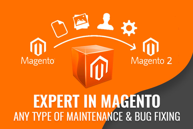 I will be your magento developer and magento2 expert