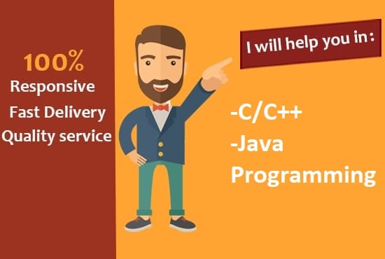 I will be your professional programmer in c and java