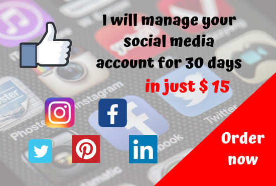 I will be your professional social media manager