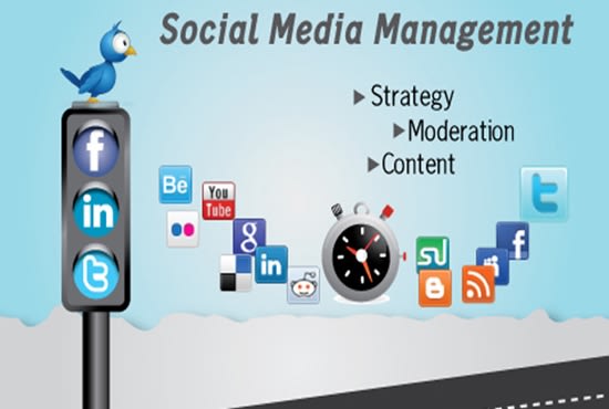 I will be your social media manager and personal assistant