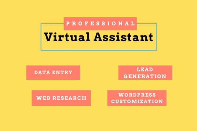 I will be your virtual assistant