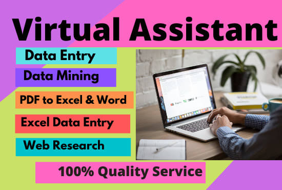 I will be your virtual assistant for data entry
