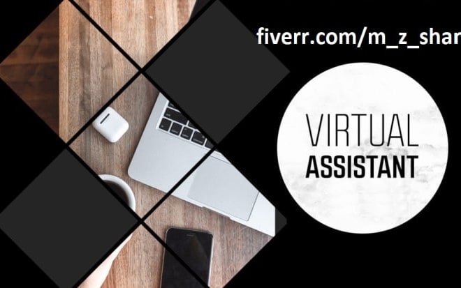 I will be your wordpress virtual assistant VA