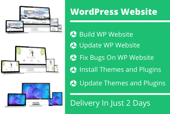 I will build, fix, customize or update your wordpress website