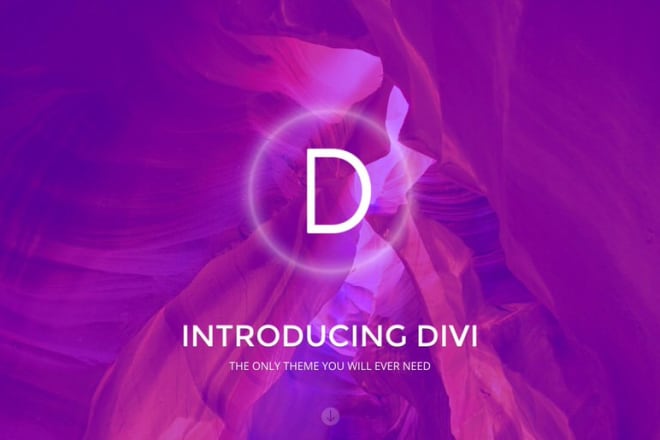 I will build modern, elegant wordpress website with divi theme