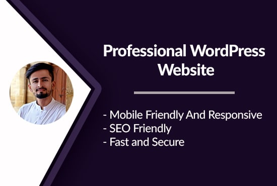 I will build professional wordpress website design or blog