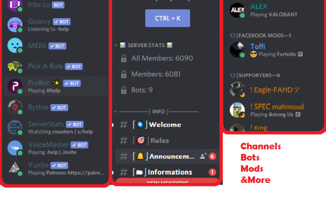 I will build your dream discord server in under 24 hrs