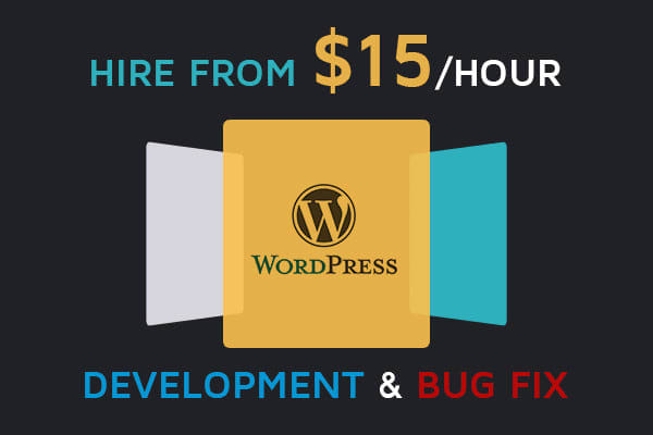 I will code or modify any wordpress theme or plugin