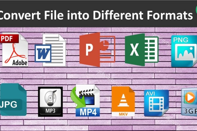 I will convert pdf, docx, jpg, png, mp4, flv, 3gp,zip, rar