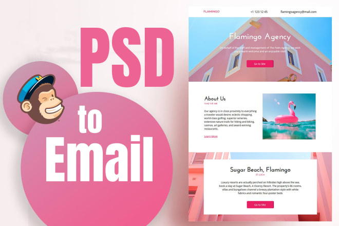 I will convert psd, jpg, png, pdf, ai to HTML email template