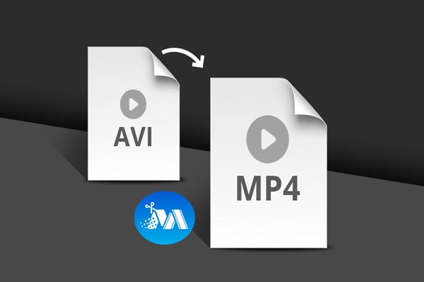 I will convert video to any format mp3, mp4, avi, mpeg