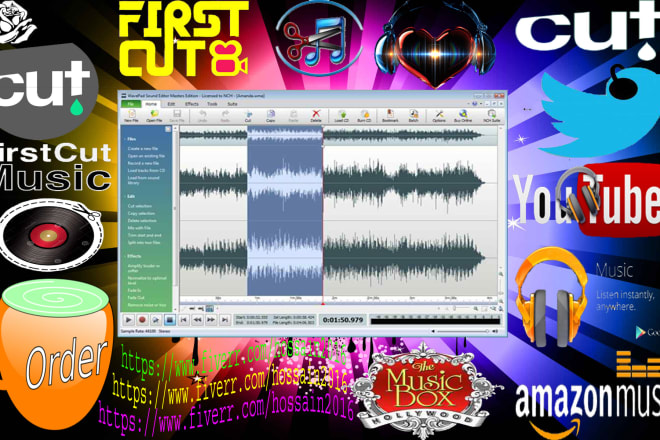 I will create a 30 second tune of any kind video or auideo song
