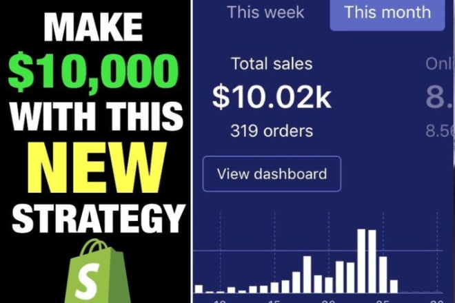 I will create a 6 figure shopify dropshipping store