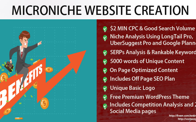 I will create a cost effective micro niche site