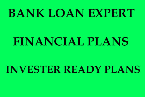 I will create a investor ready business plan with industry research