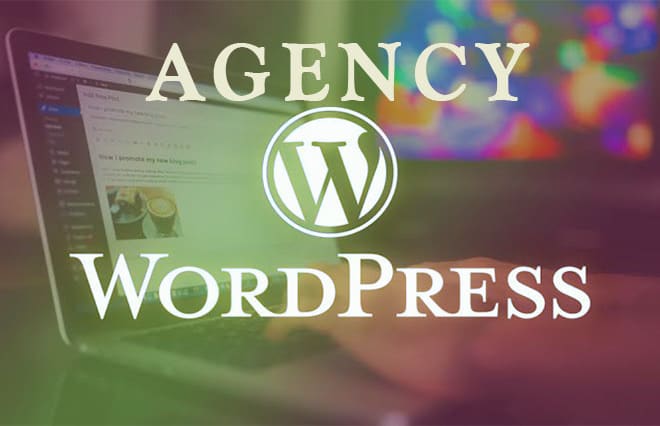 I will create a modern digital marketing agency, business website