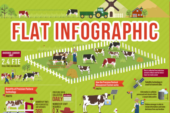 I will create a professional modern flat infographic design