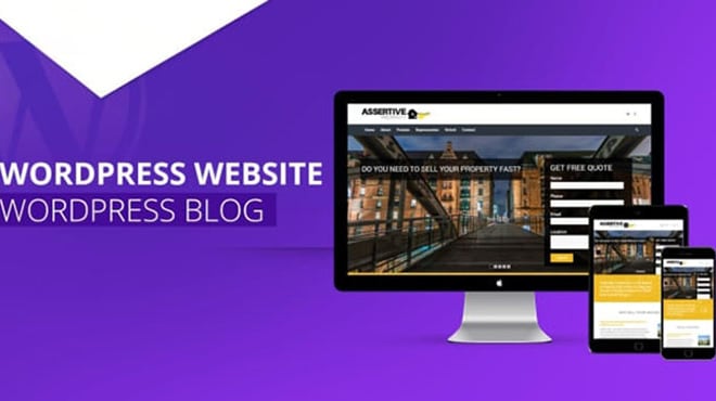 I will create a wordpress website or wordpress blog