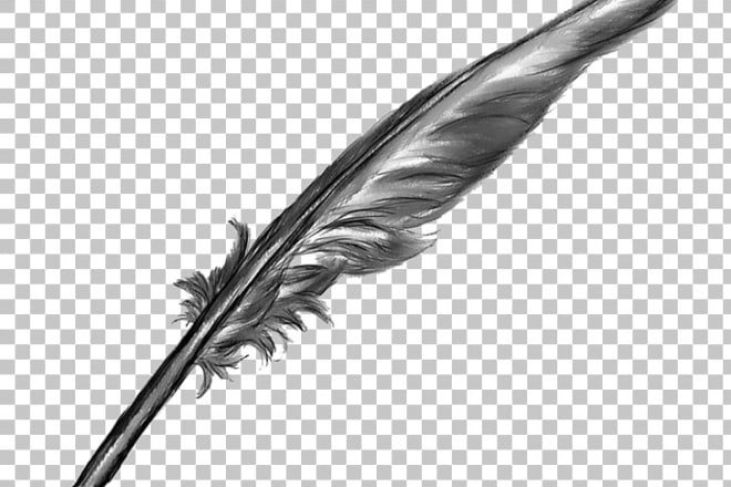 I will create an outline or a script of your short story, or both