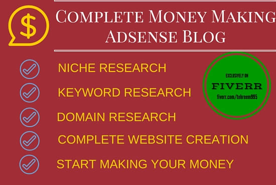 I will create SEO optimized adsense micro niche site