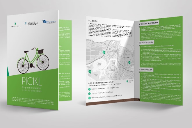 I will design a killer infographic brochure or flyer