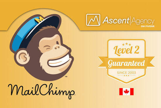 I will design a mailchimp template
