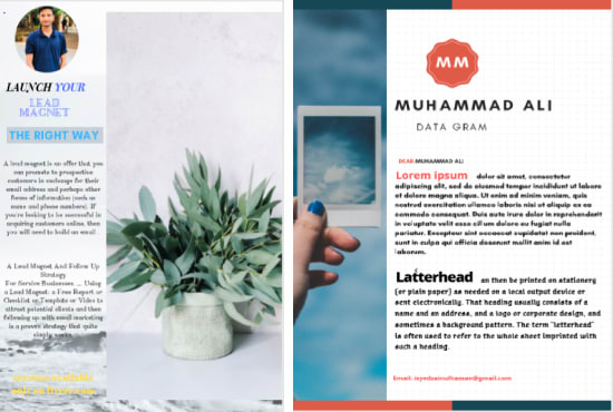 I will design ebook lead magnet PDF and book cover