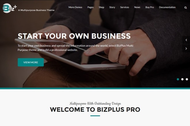 I will design professional responsive wordpress website