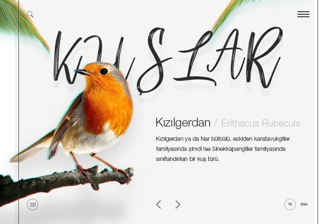 I will desing your custom web interface designs
