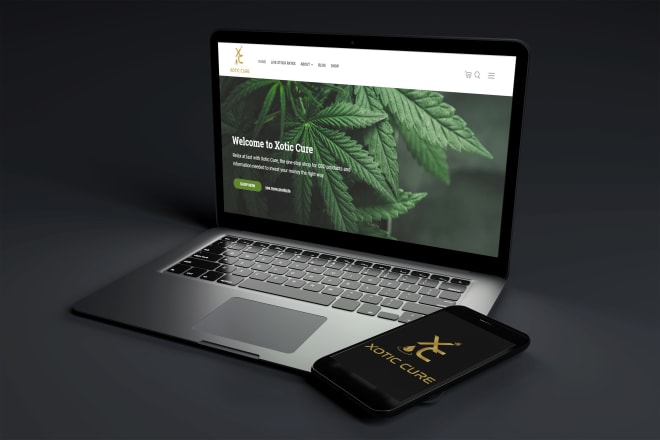 I will develop a professional website for your business or company